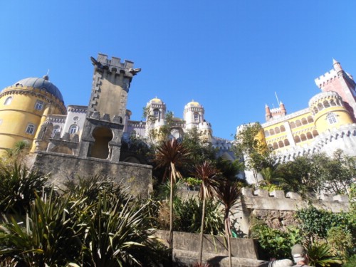 PB110135-S