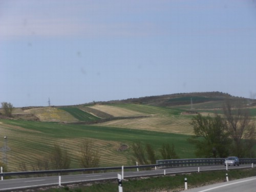 P4190020-S