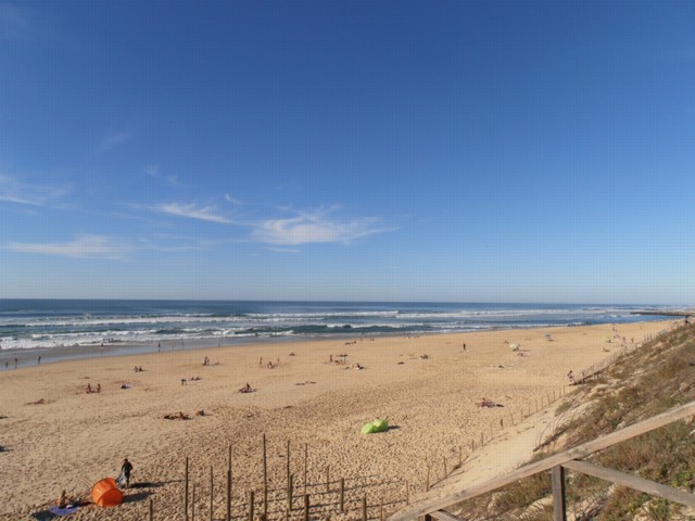 PA270029-N